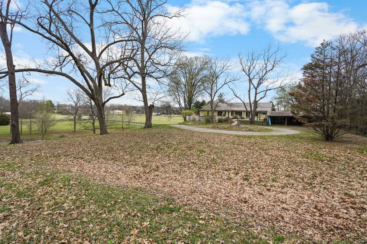 251 Cheatham Springs Rd - Photo 4 of 36