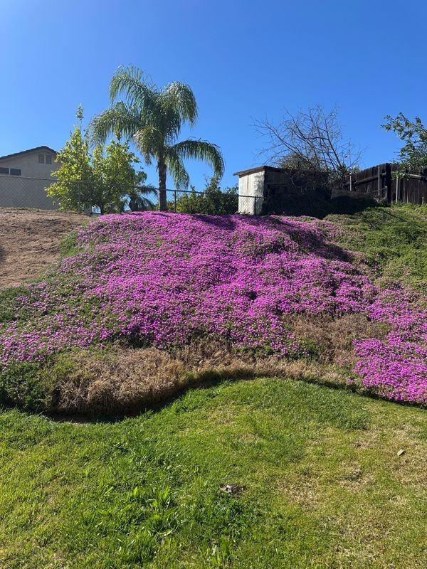 5380 Dunlop Dr - Photo 2 of 3