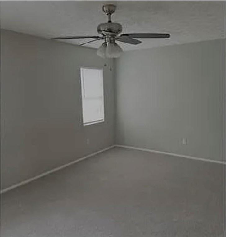 2305 Pine Tree Trl - Photo 7 of 12