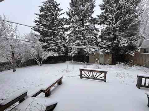 631 Virginia St - Photo 2 of 18