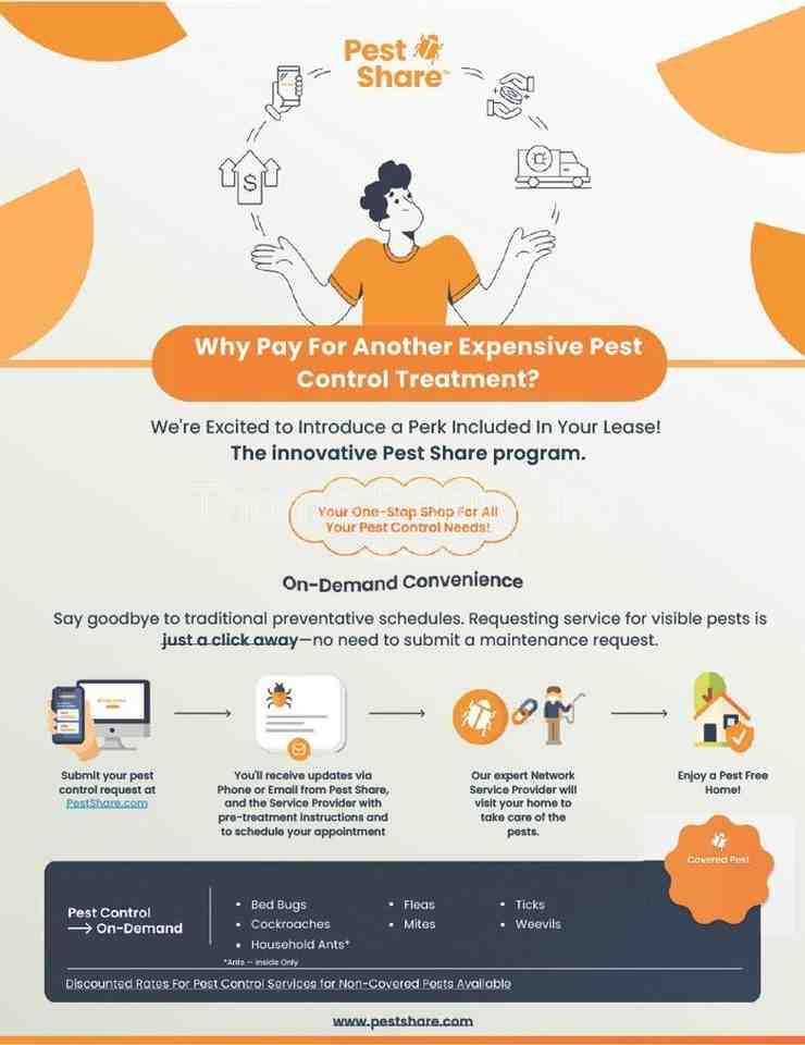 912 Belvedere St - Photo 7 of 7