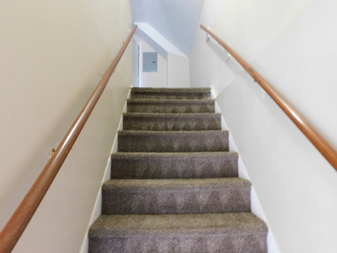 1116 Hancock St - Photo 3 of 9