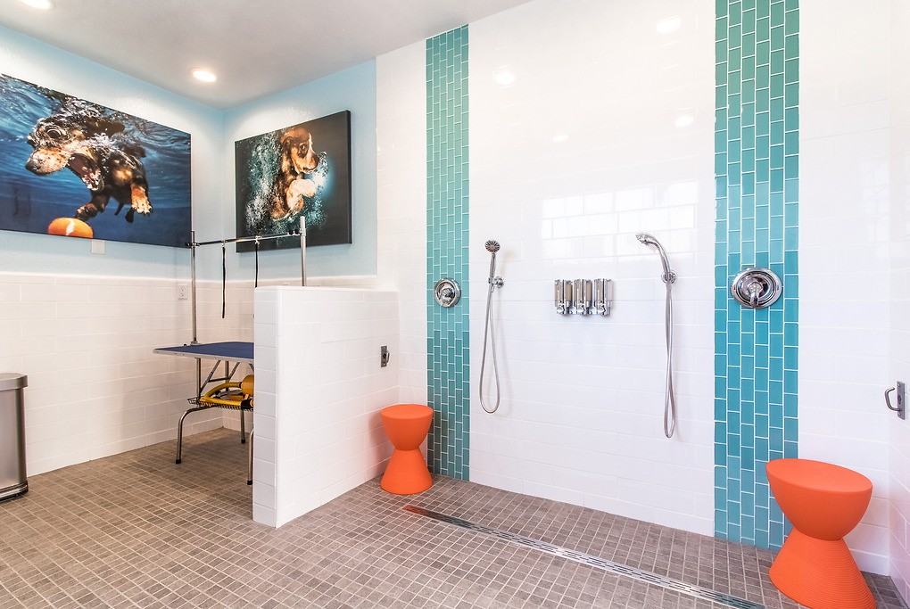 Crow Canyon - Photo 6 of 40