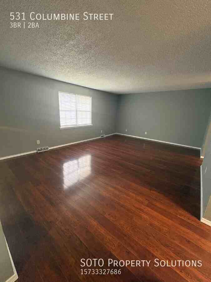 531 Columbine St - Photo 3 of 19