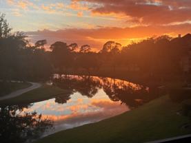 2400 Feather Sound Dr #628 - Photo 1 of 1