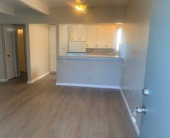 featured image of 1736 Fillmore St #1