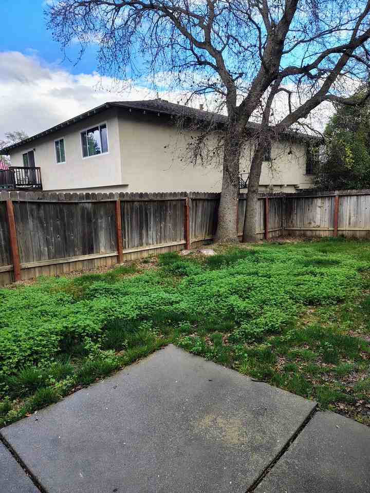 321 Alamo Dr #NA - Photo 7 of 12