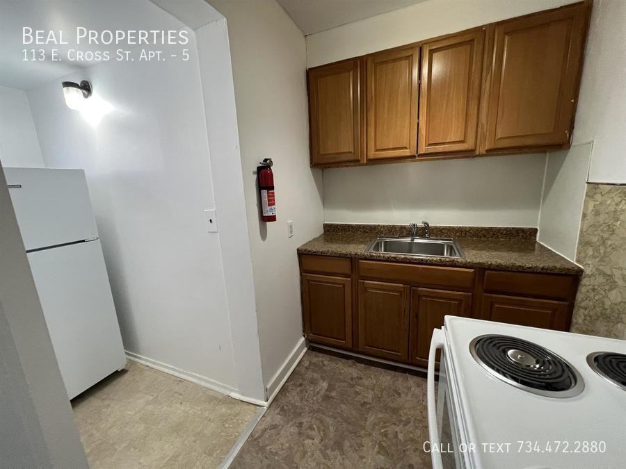 113 E Cross St #5 - Photo 4 of 7