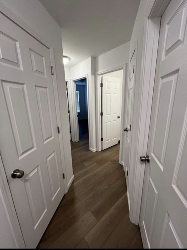 823 Navajo Trl - Photo 4 of 20