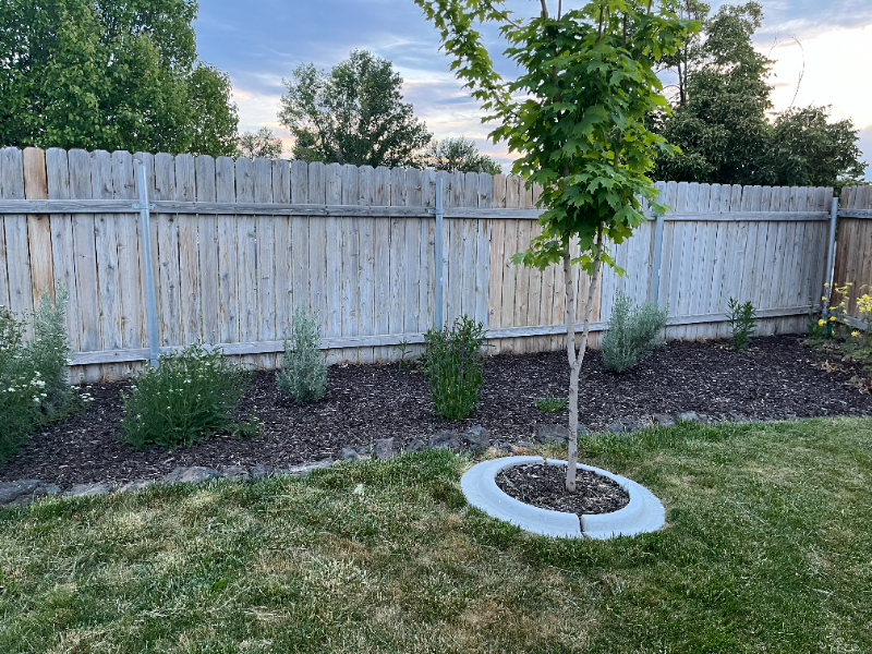 628 4th Ave N - Photo 6 of 15