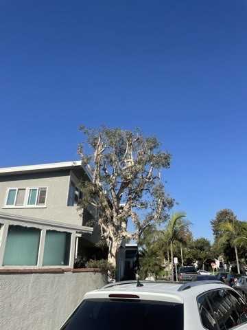 72847 Don Larson Ln - Photo 7 of 14