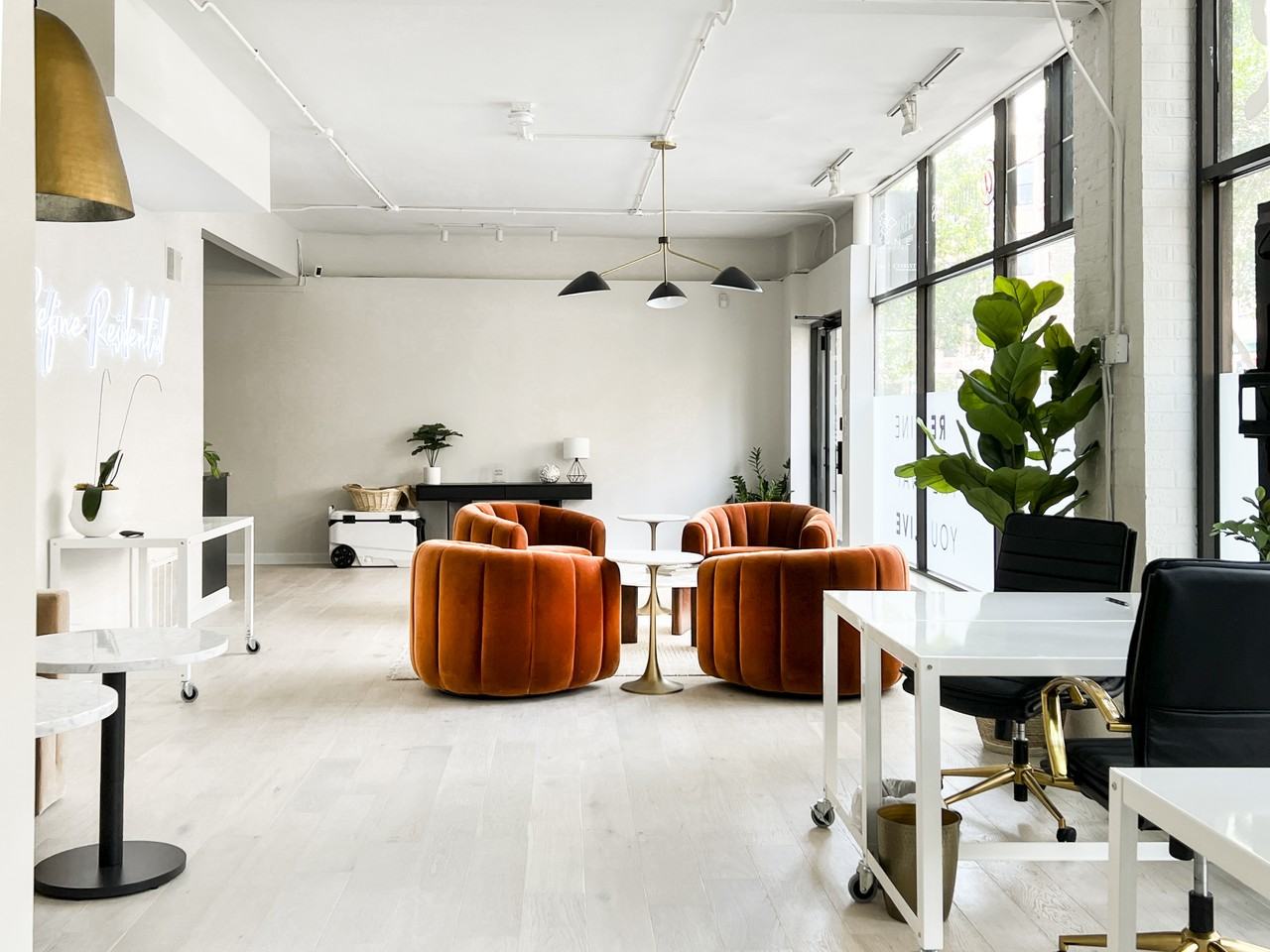 1113 W Armitage Ave - Photo 2 of 12