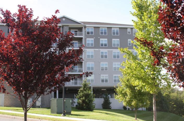 Abbey Lane - Photo 2 of 30