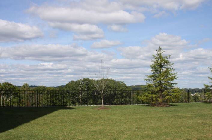 Abbey Lane - Photo 4 of 30