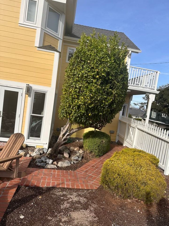 314 13th St - Photo 3 of 10