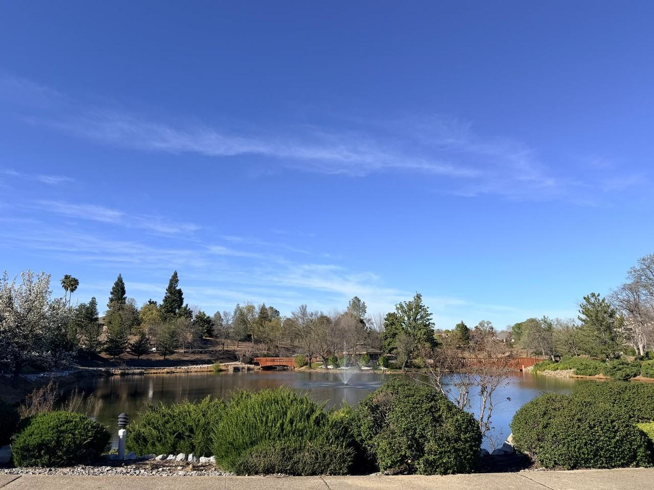 381 Bountiful Path - Photo 3 of 50