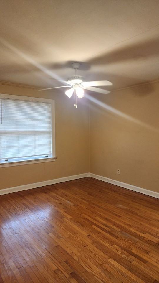 3102 Riverside Ave #4 - Photo 4 of 16