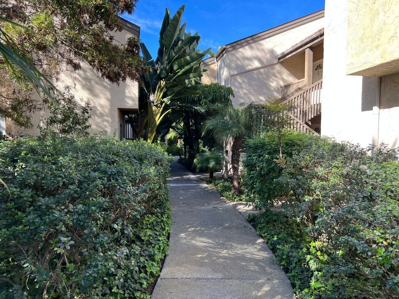 3162 Via Alicante - Photo 2 of 19