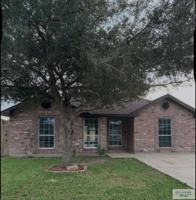 featured image of 250 Kiwi