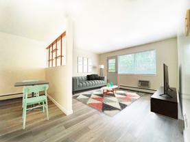 Viceroy - Photo 1 of 1