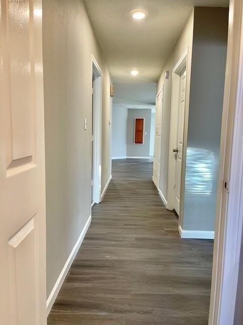 204 Honey Bee Dr #206 - Photo 7 of 22