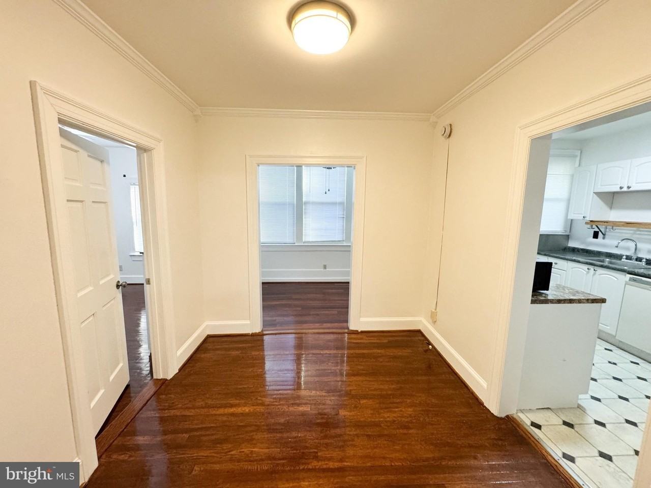 4348 Ellicott St Nw Apt 2 - Photo 4 of 18