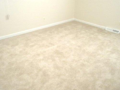 2501 Larkspur Dr - Photo 2 of 10