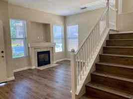 featured image of 11 Iron Bark