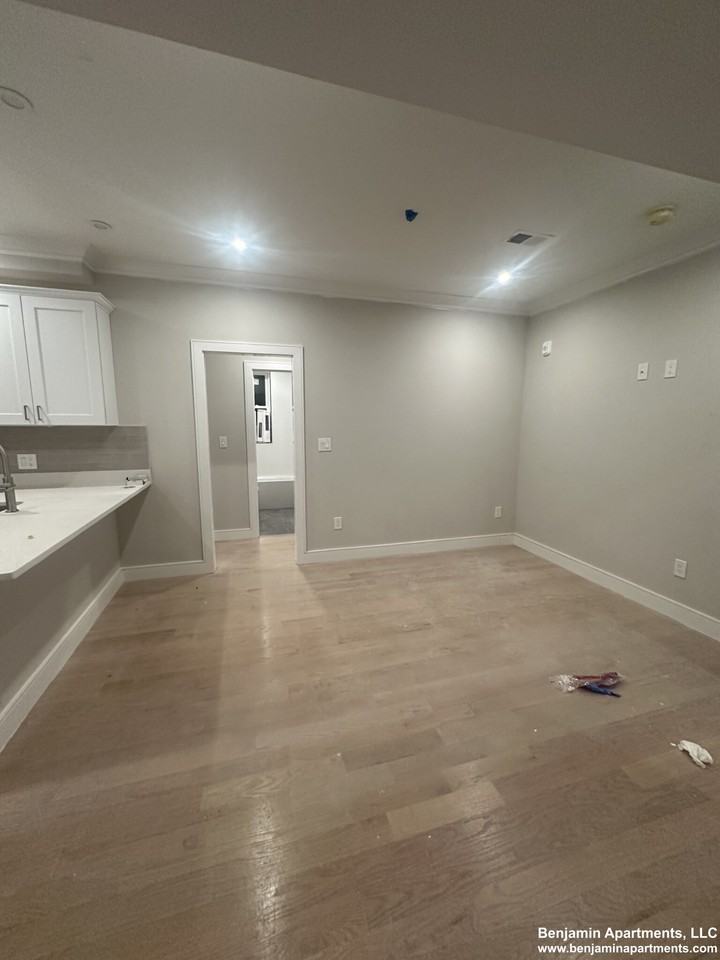 Allston St. & Commonwealth Avenue #5 - Photo 2 of 44