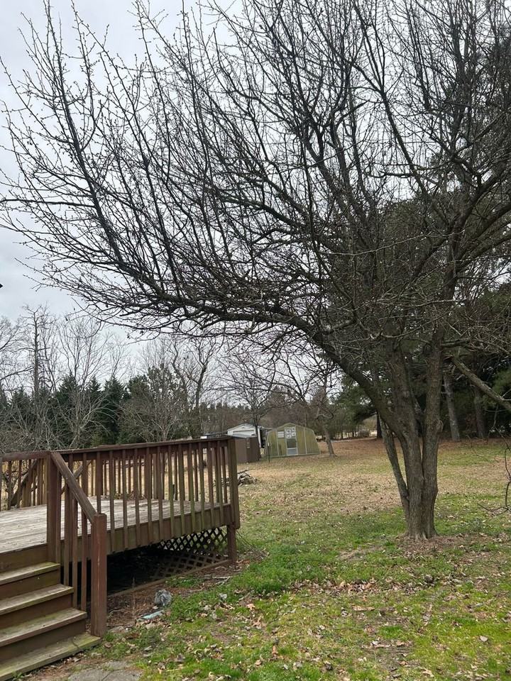 812 Stephanie Pl - Photo 4 of 14