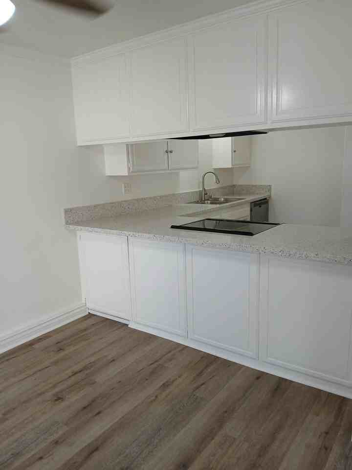 837 Amigos Way - Photo 6 of 32