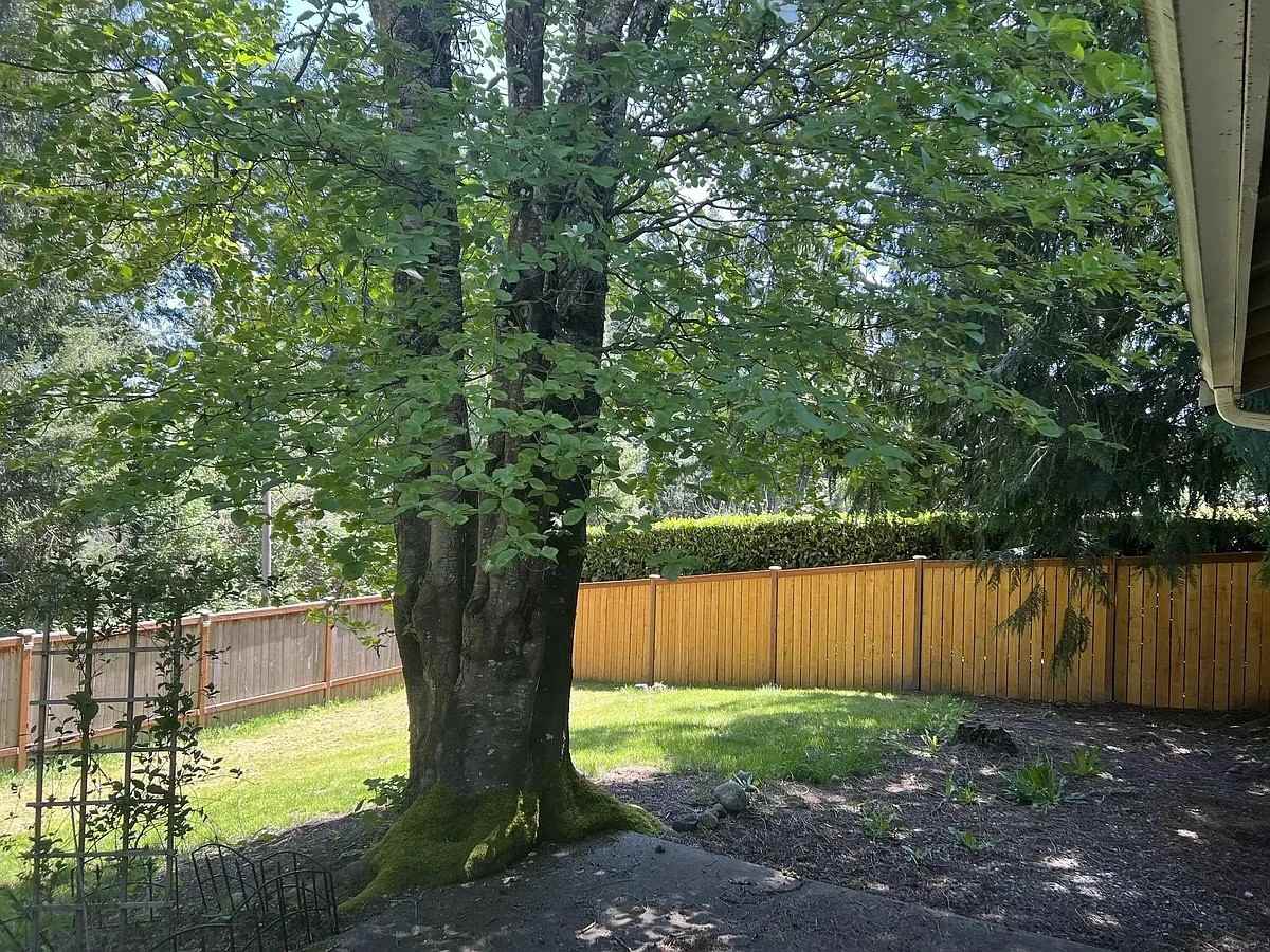 3517 57th Ave Nw - Photo 2 of 20