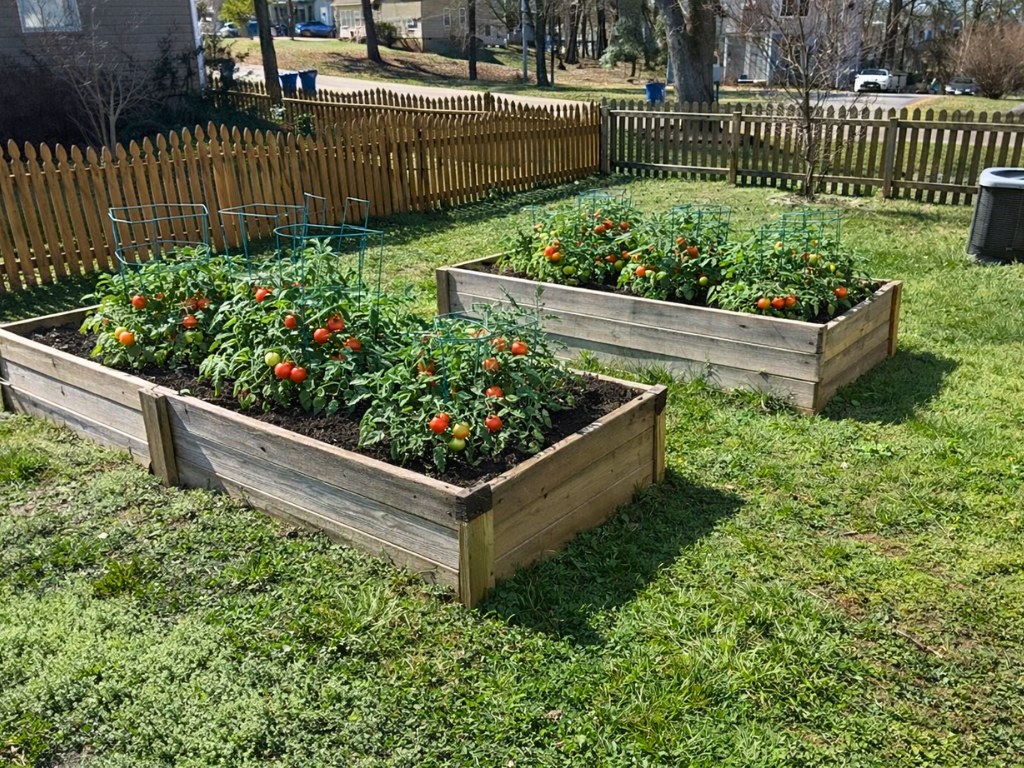 7086 Ann Cabell Ct - Photo 7 of 8