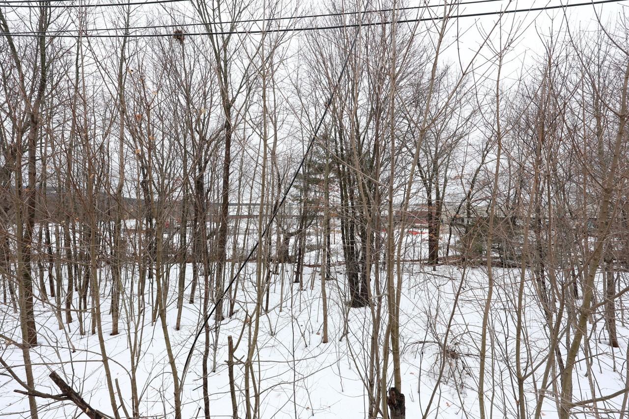 65 Clifford St #2 - Photo 4 of 27