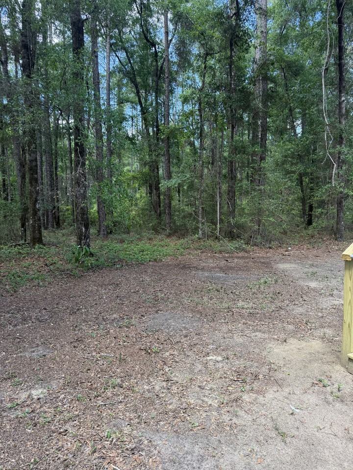 199 Turkey Run Rd #1 - Photo 2 of 10