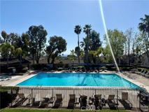 387 Calle Borrego - Photo 1 of 1