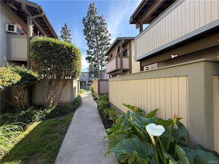 806 Coriander Dr - Photo 2 of 40
