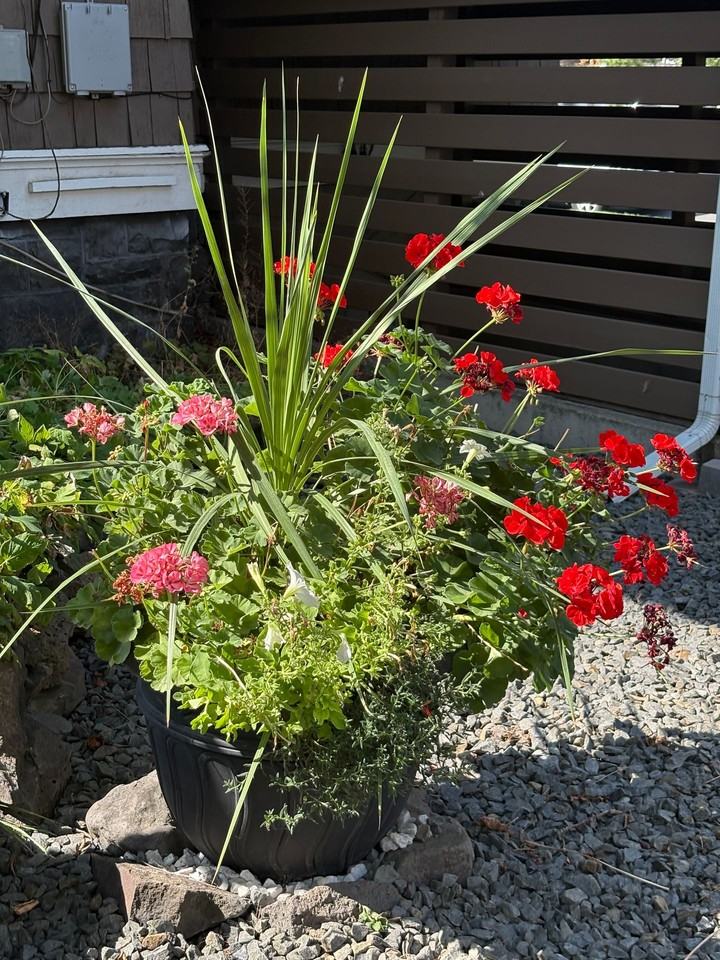 1725 W. 1st Ave - Photo 4 of 14