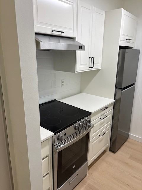 2008 Fullerton Avenue #1101 - Photo 2 of 13