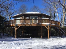 featured image of 186 Sammi Cir