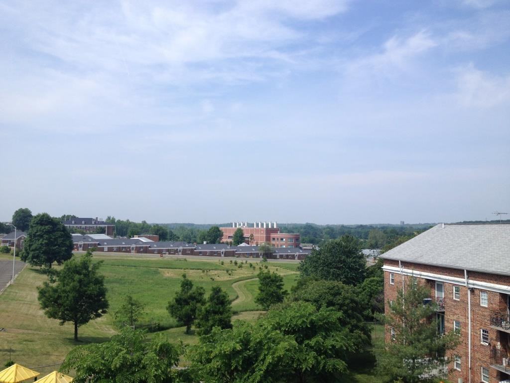 4507 Romlon St - Photo 4 of 15