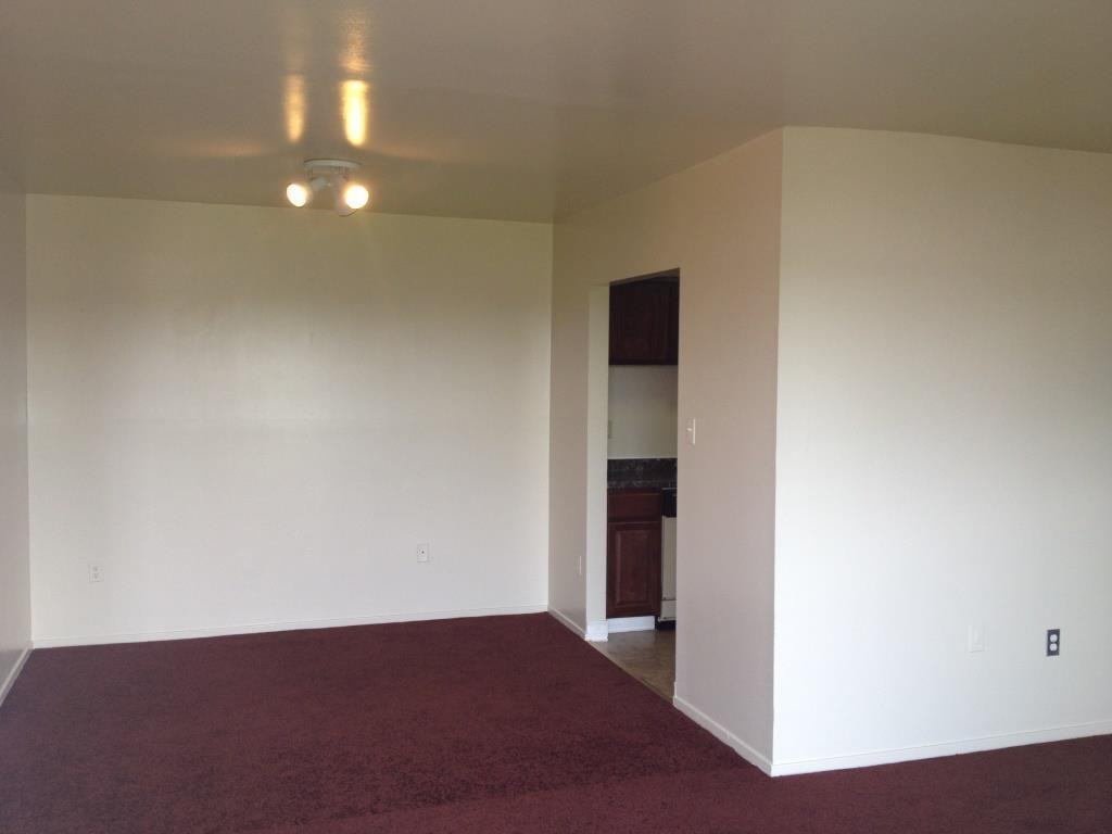 4507 Romlon St - Photo 6 of 15