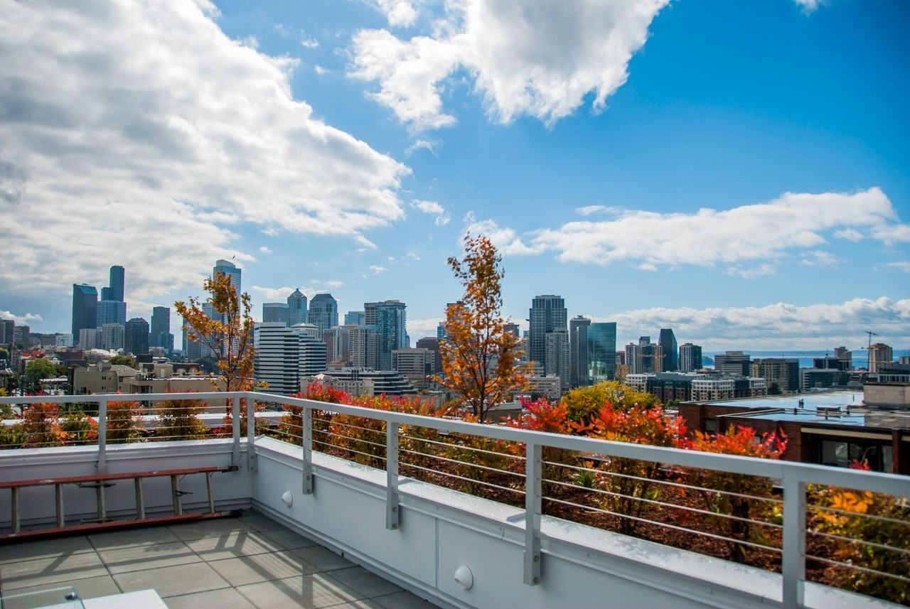 The Local 418 - Photo 2 of 25