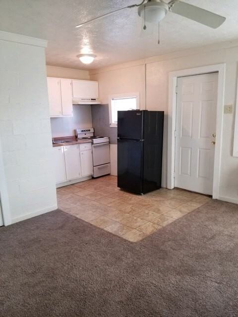 809 North Park Street - Photo 2 of 6