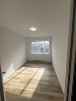 2337 Rue Saint-Germain #5 - Photo 1 of 1