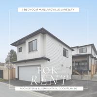 featured image of 800 Walls Avenue