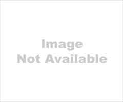 featured image of 209 Maryland St #A