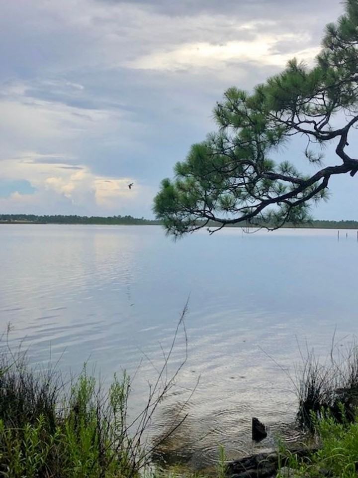 3278 Bernath Dr - Photo 4 of 17