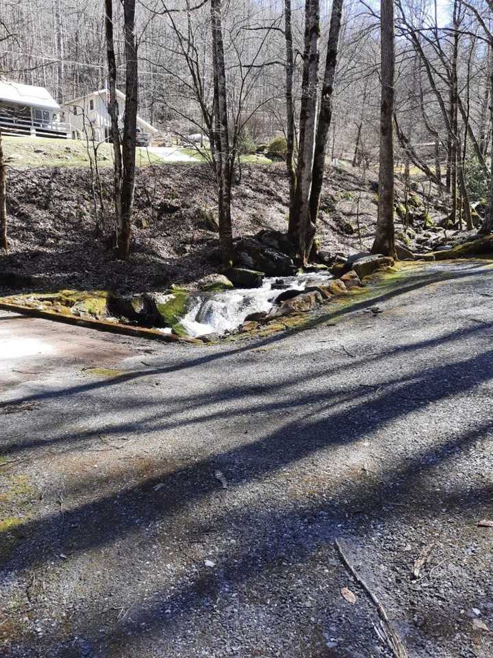 4680 Conleys Creek Rd - Photo 3 of 21