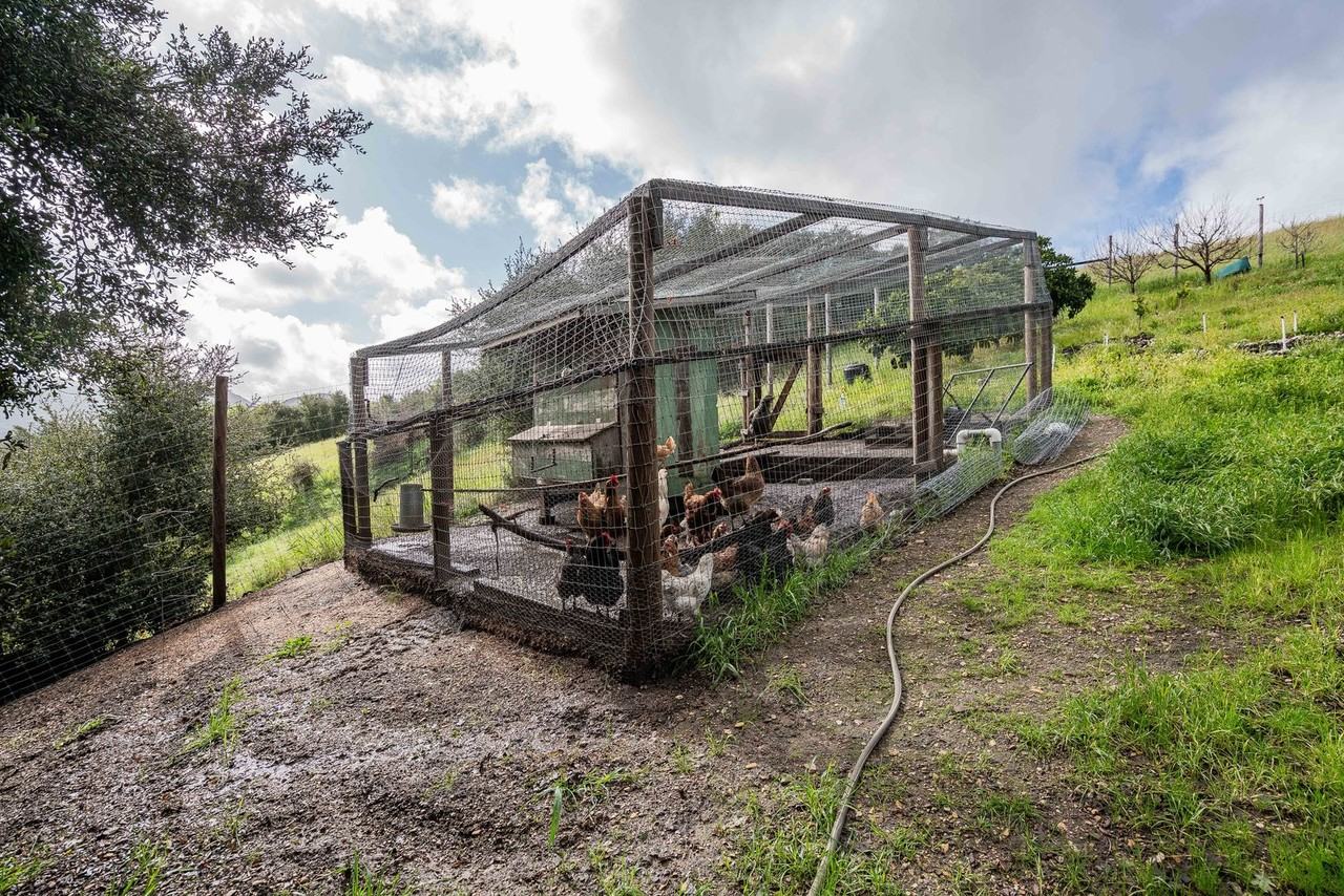 771 Fredensborg Canyon Rd - Photo 6 of 19